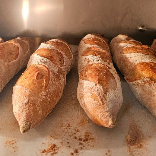 Intro to Sourdough