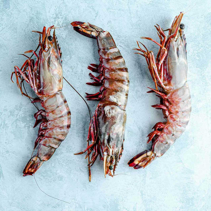 Fish & Shellfish Masterclass - The Artisans' Kitchen 