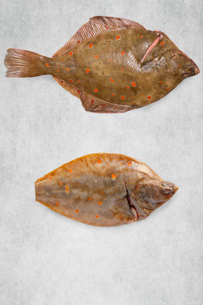 Fish & Shellfish Masterclass - The Artisans' Kitchen 