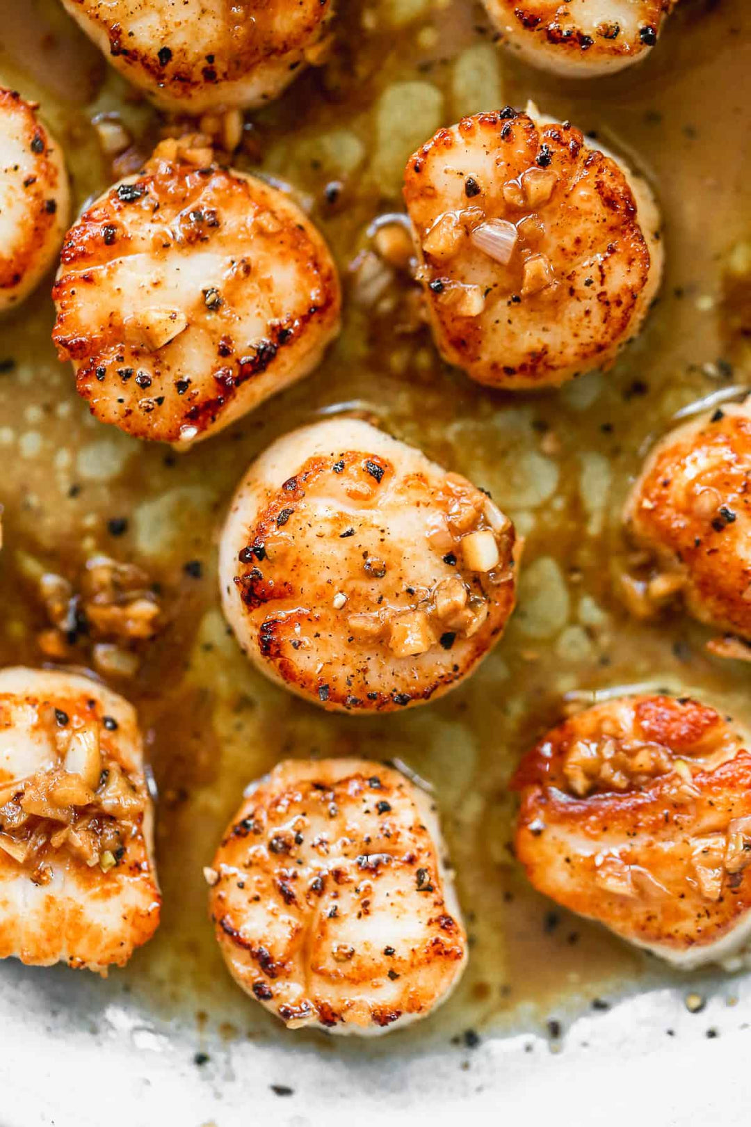 Fish & Shellfish Masterclass - The Artisans' Kitchen 
